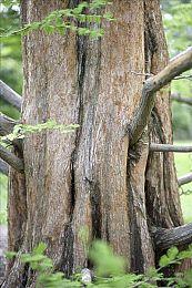 《瑞奇与叮当：分离》PC性能测试：PS4确实跑不动